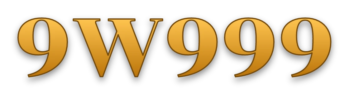 9W999 logo